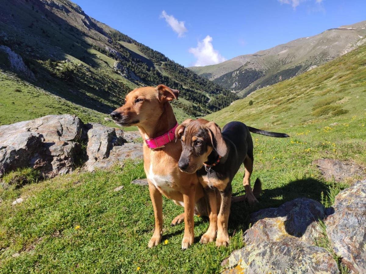 Apartaments Vall De Nuria 케랄브스 외부 사진